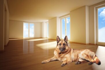 podlahy Tábor kvalitně