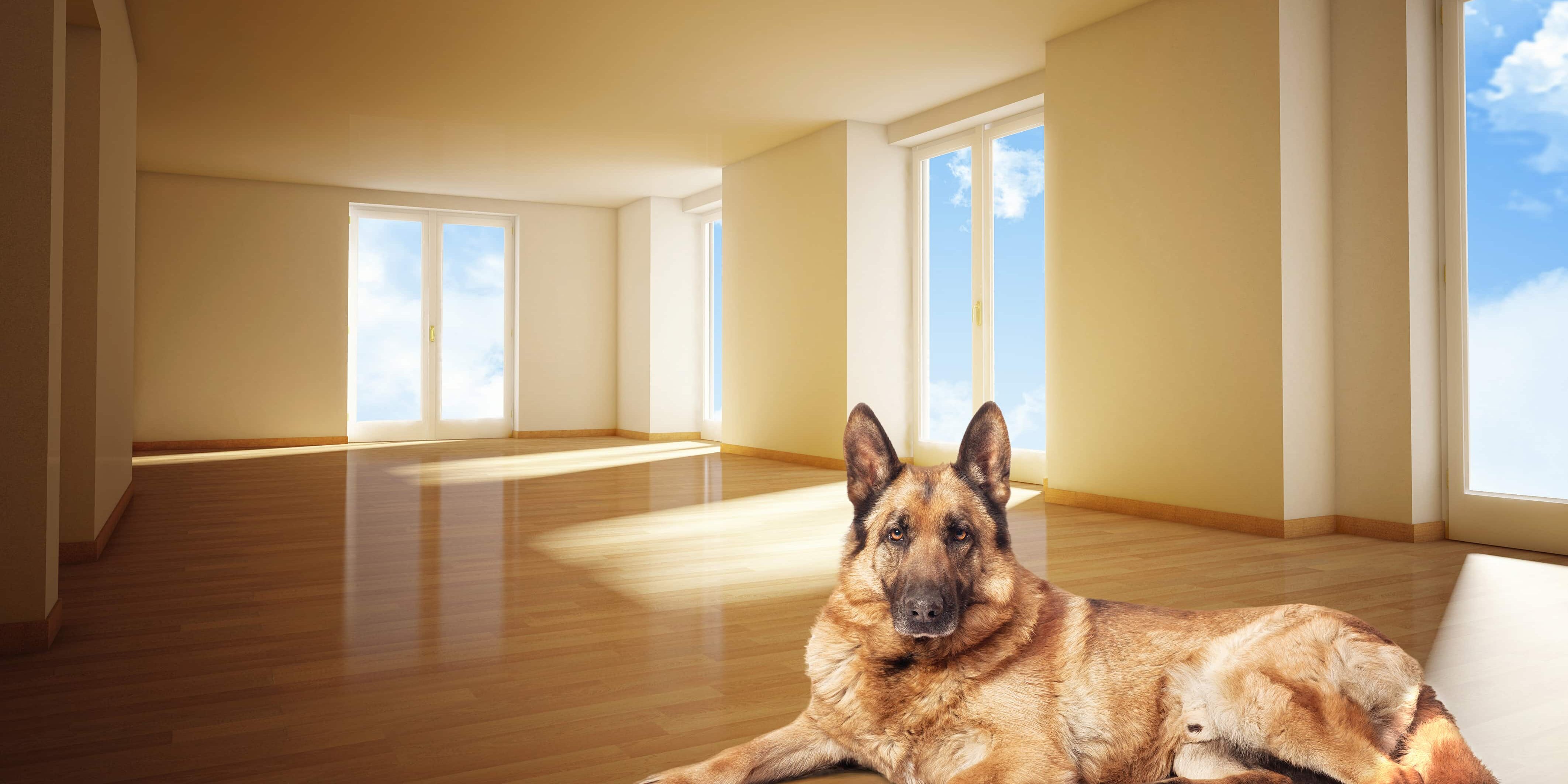 podlahy Tábor kvalitně podlahy Tábor kvalitně