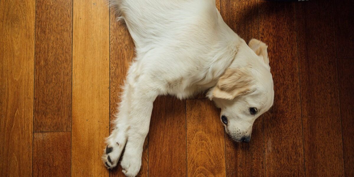 drevena-podlaha-04 Dřevěná podlaha